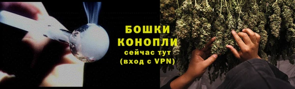 Альфа ПВП Мегион