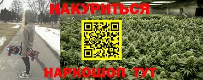 прущие грибы Ирбит
