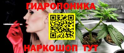 прущие грибы Ирбит