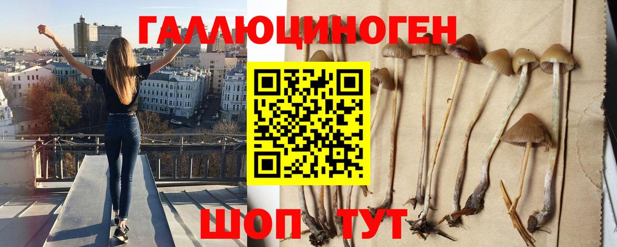Галлюциногенные грибы GOLDEN TEACHER  Галлюциногенные грибы MAGIC MUSHROOMS  как найти закладки  Вход с VPN  Нижнекамск 