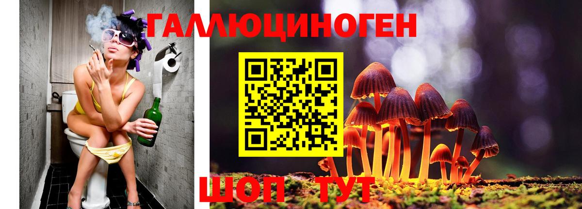 Галлюциногенные грибы мухоморы Нижнекамск